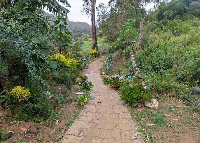 Ohiya Jungle Resort