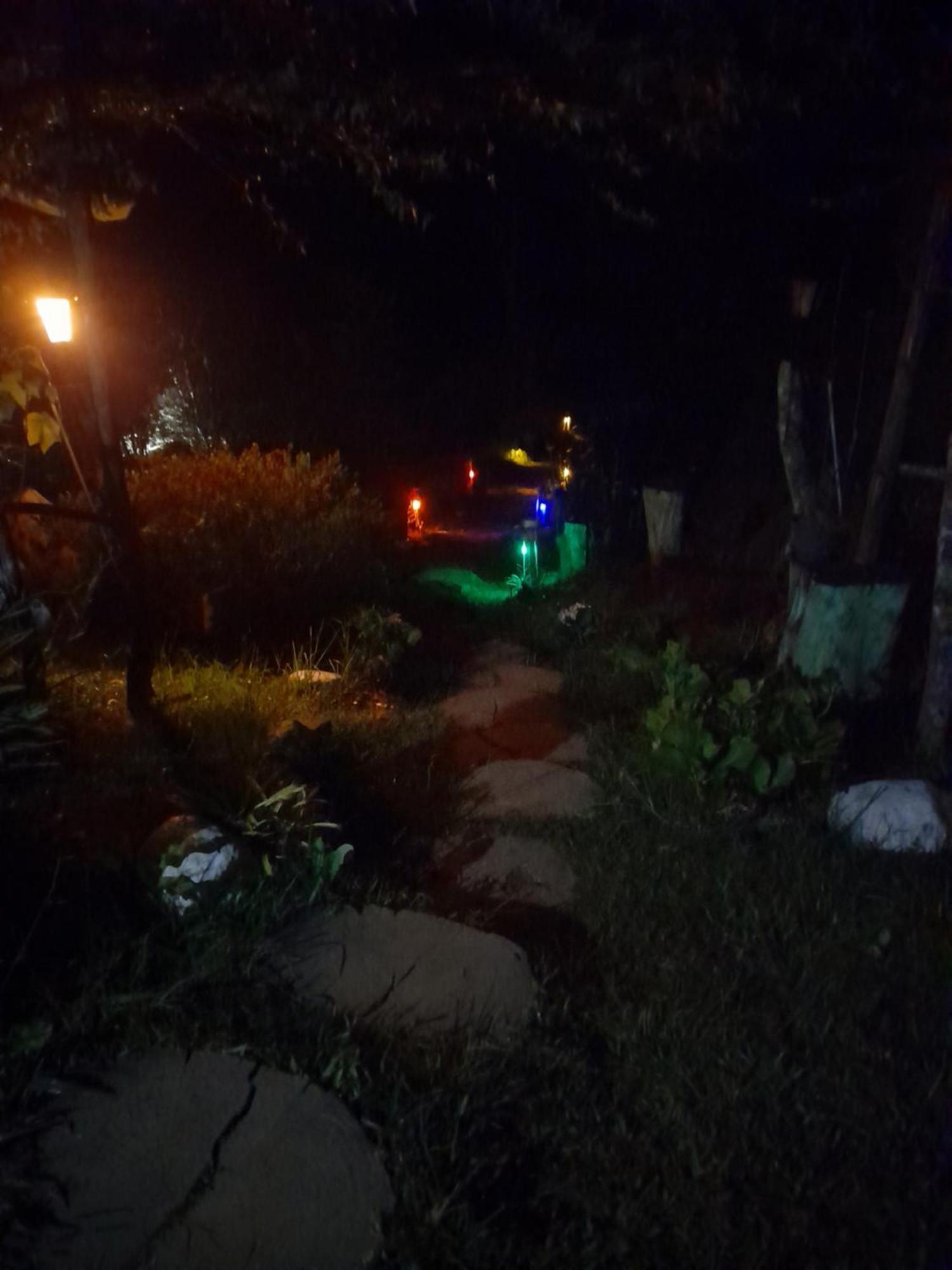 منزل للإقامة Jungle