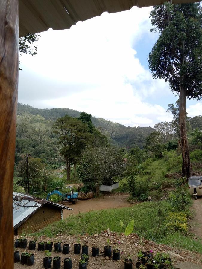 منزل للإقامة Jungle